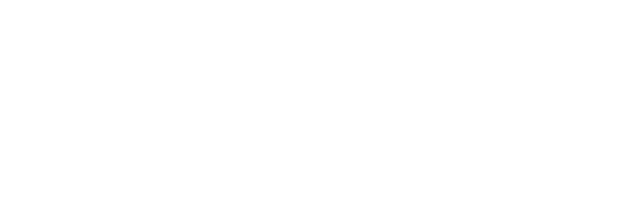 Hans Jet