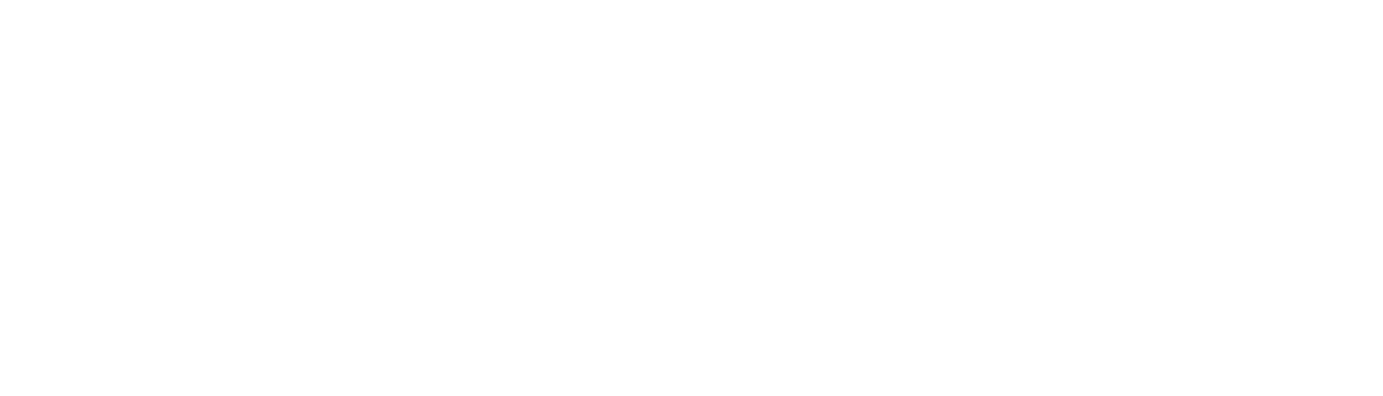 Hans Travel